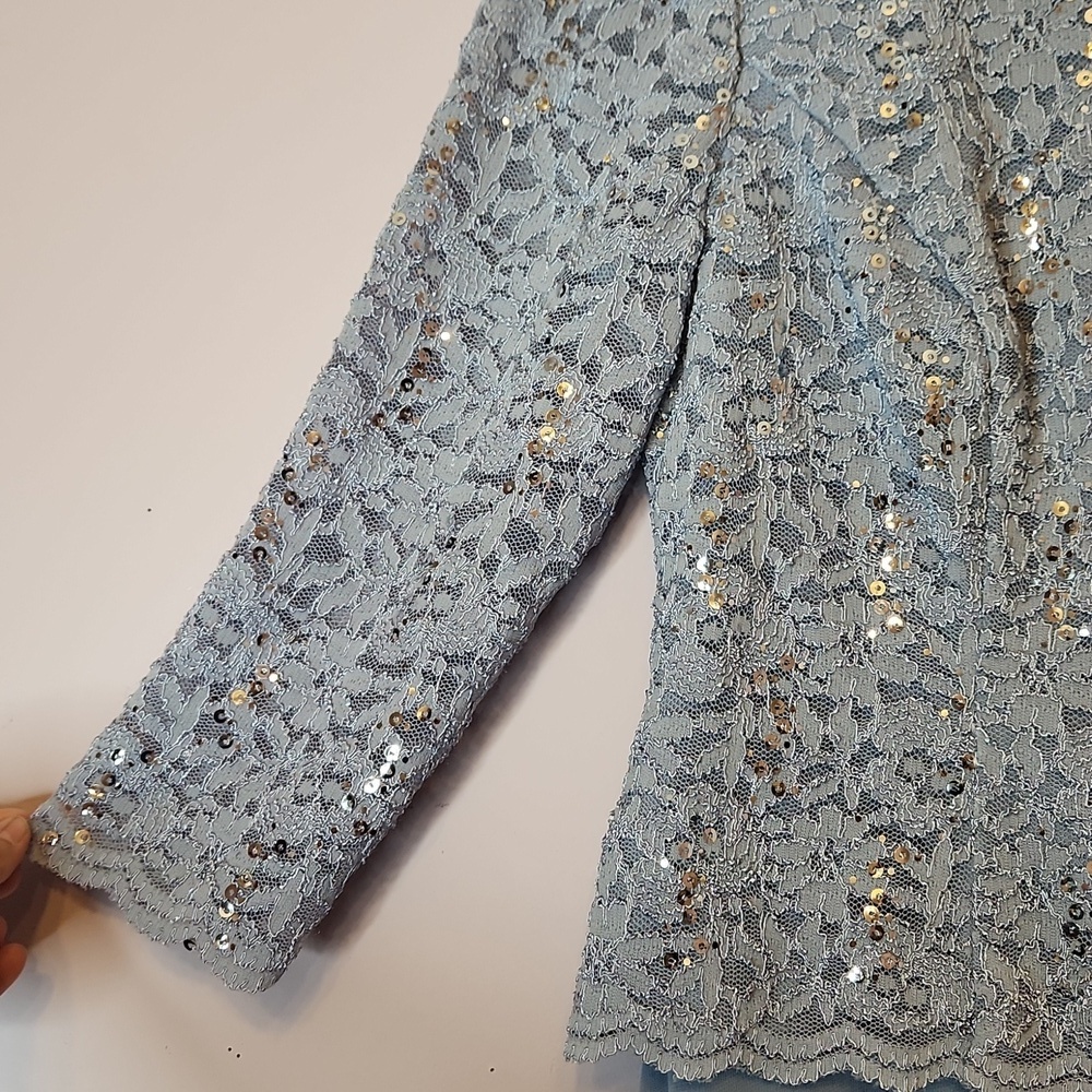 ALEX EVENINGS Long Gown Sequin Lace Bodice & Chifon Skirt, 8P - Picture 3 of 16